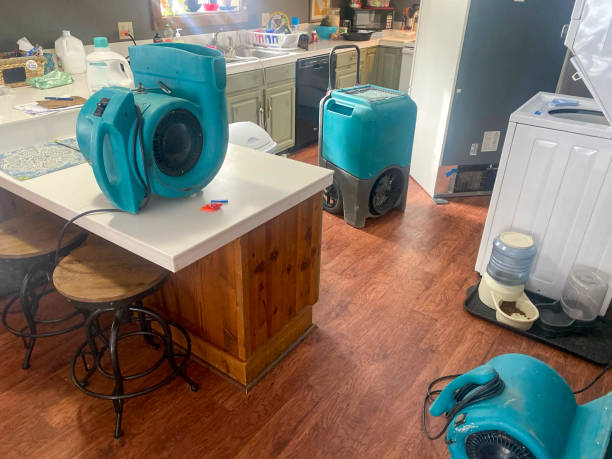 Best Water damage repair service  in Andusia, AL