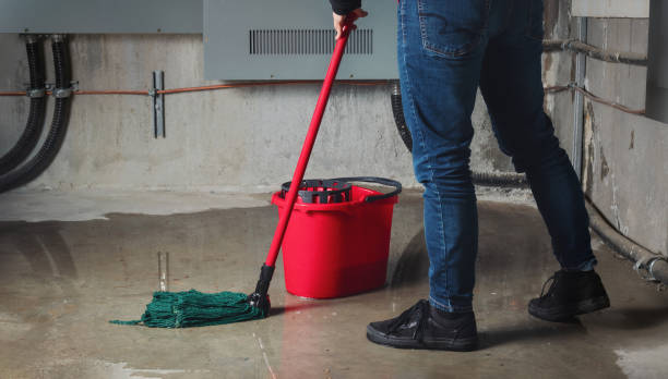 Best Local water damage restoration  in Andusia, AL