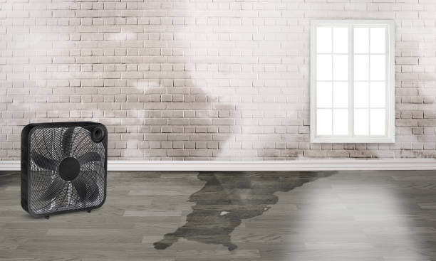 Best Fire Damage Restoration  in Andusia, AL