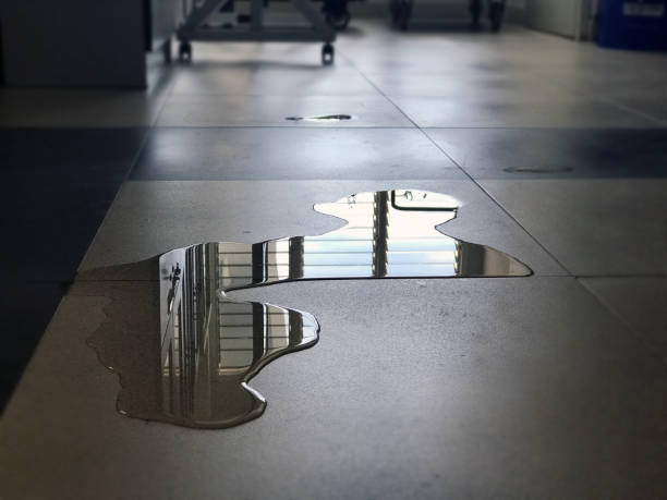 Best Water damage restoration near me  in Andusia, AL