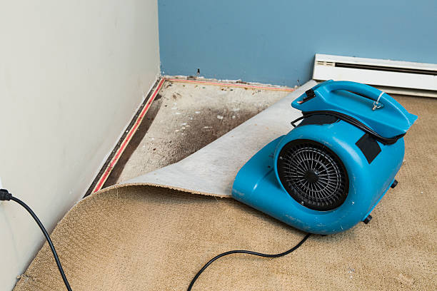 Best Local water damage restoration  in Andusia, AL