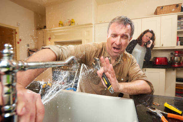 Best Water damage contractors near me  in Andusia, AL
